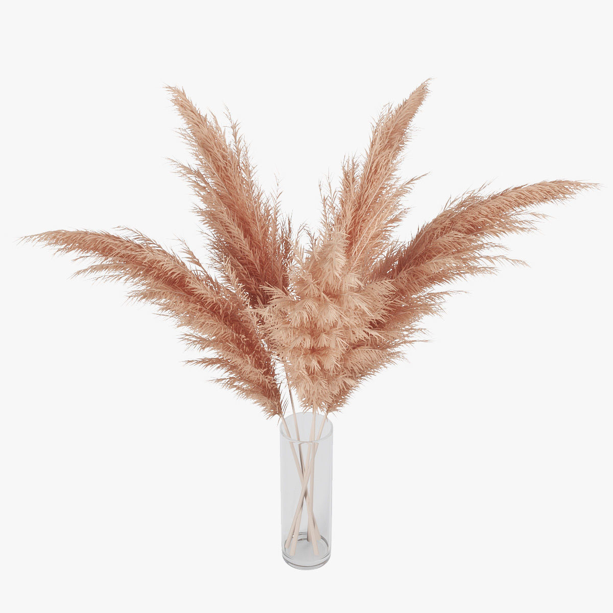 Pampas grass 02 3D model_9