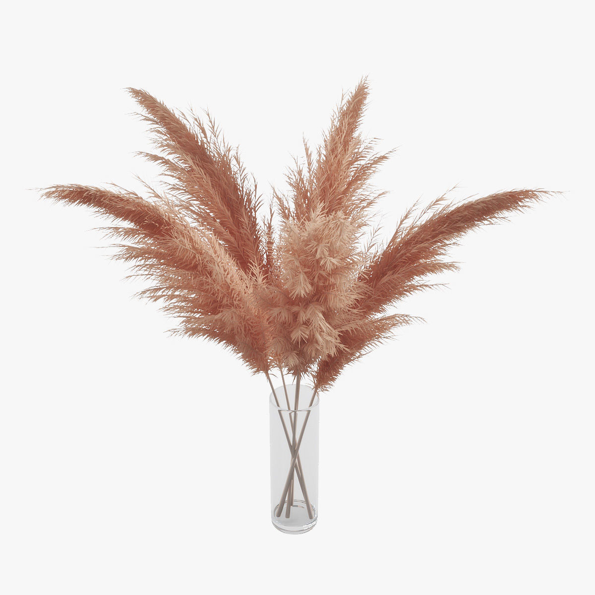 Pampas grass 02 3D model_4