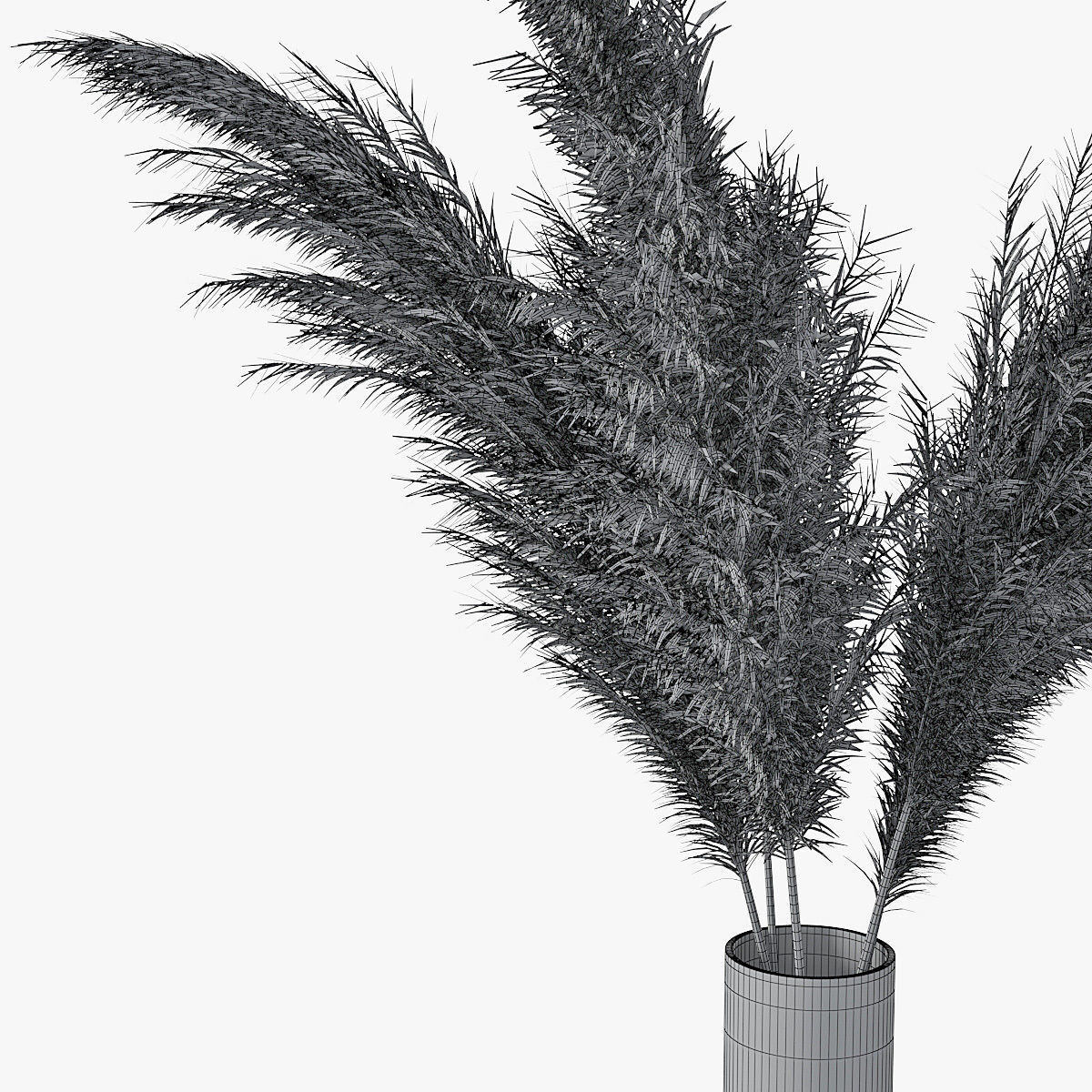 Pampas grass 02 3D model_13
