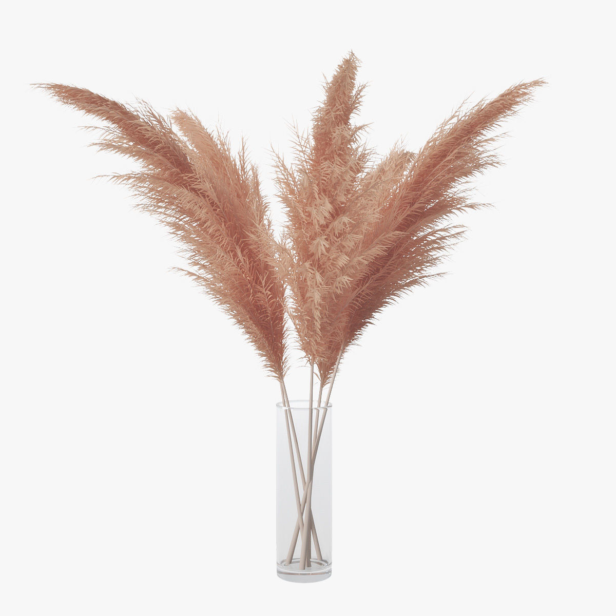 Pampas grass 02 3D model_0