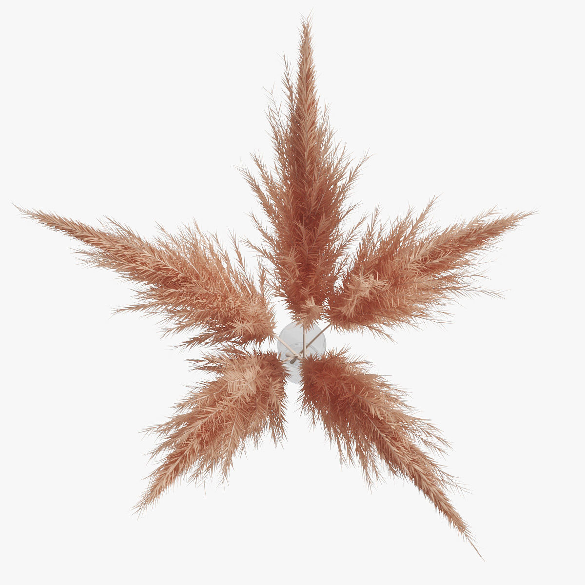 Pampas grass 02 3D model_7