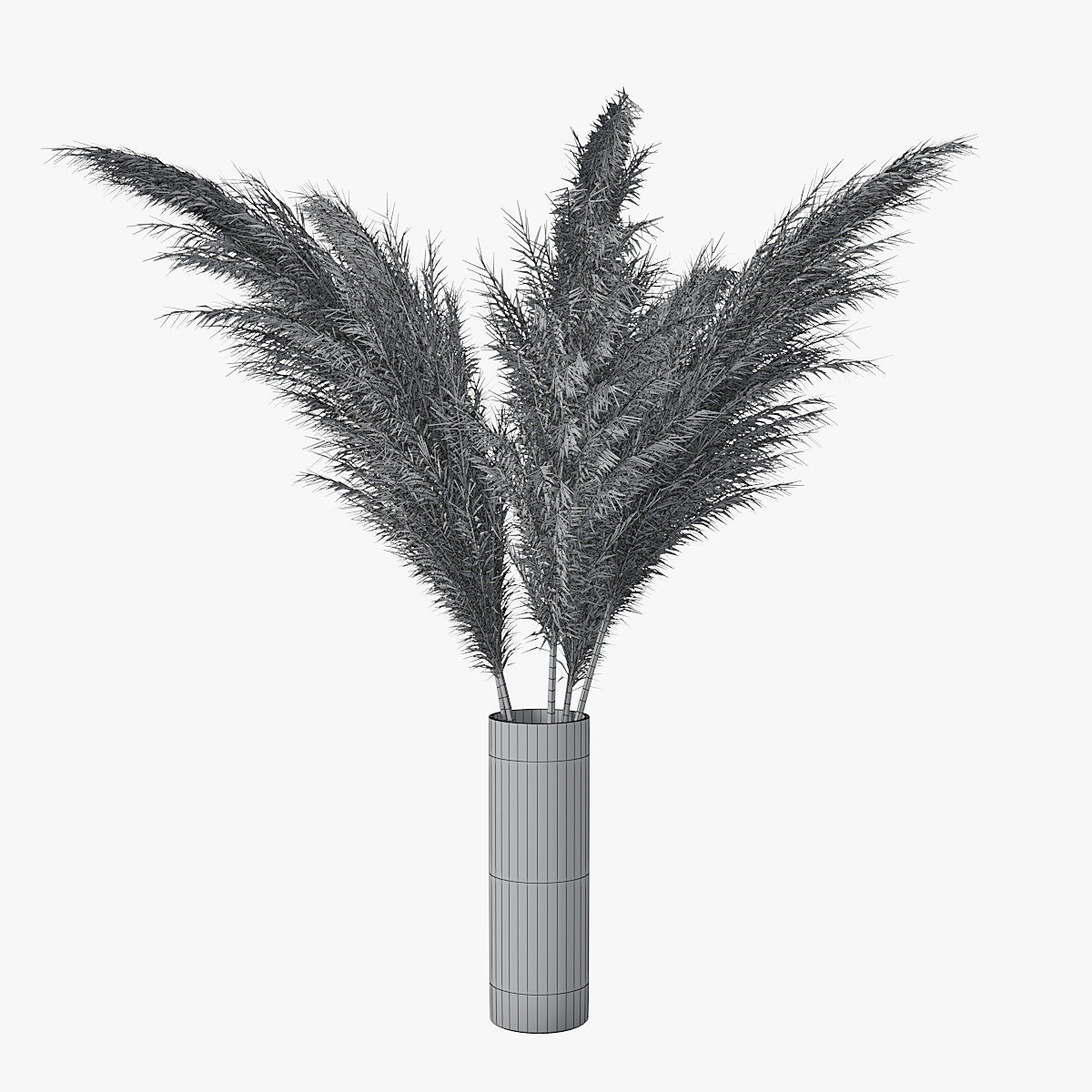 Pampas grass 02 3D model_3
