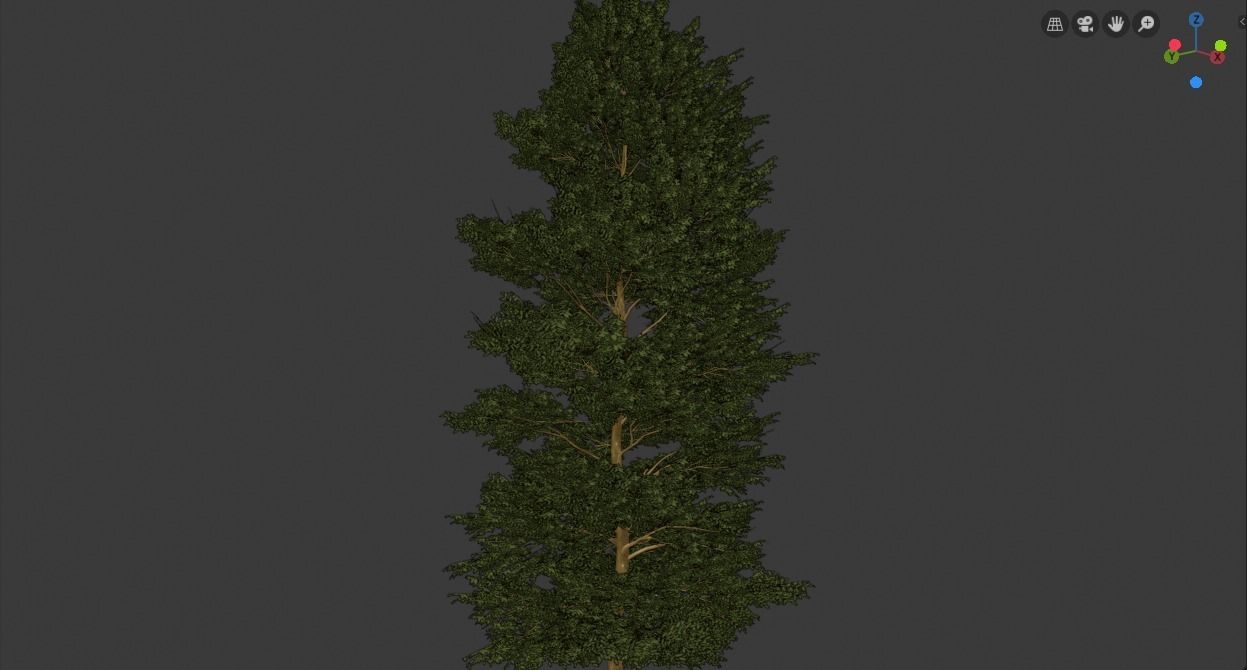 Tree Realistic  3D model_5