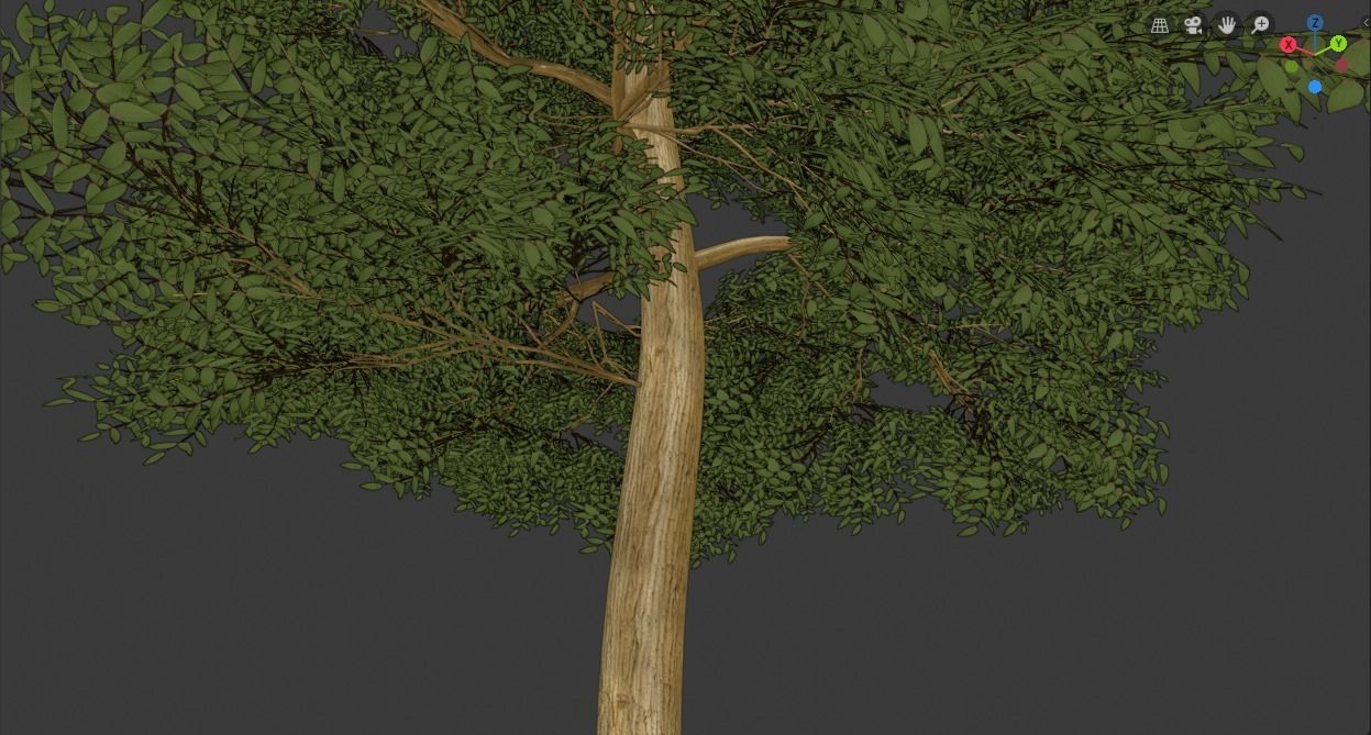 Tree Realistic  3D model_7
