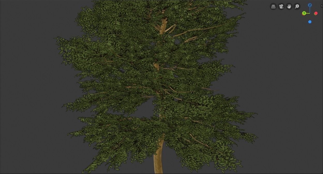 Tree Realistic  3D model_9