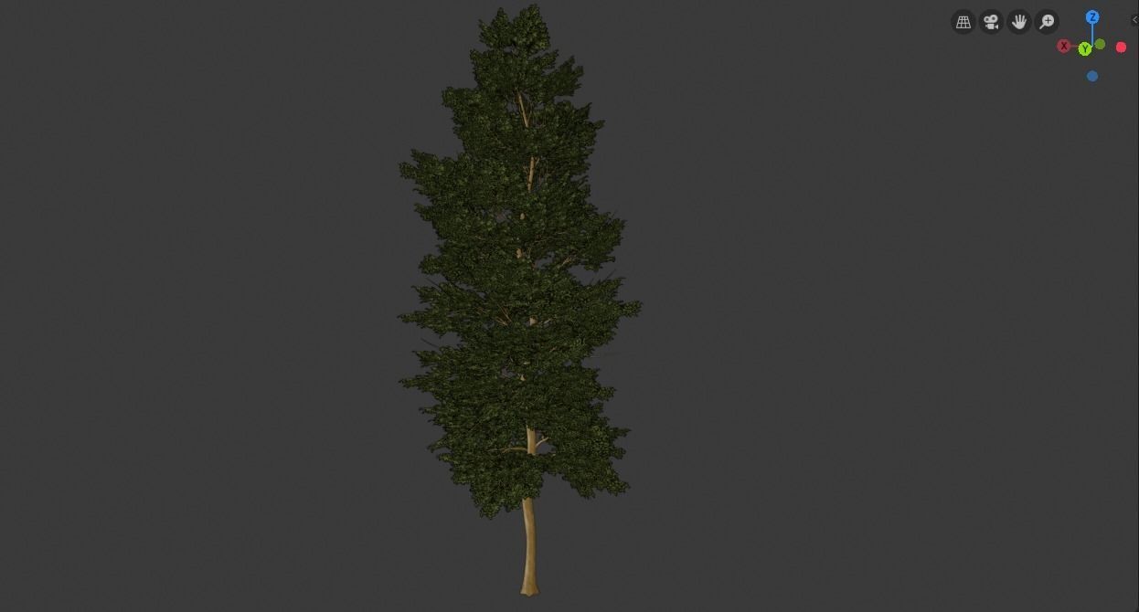 Tree Realistic  3D model_8
