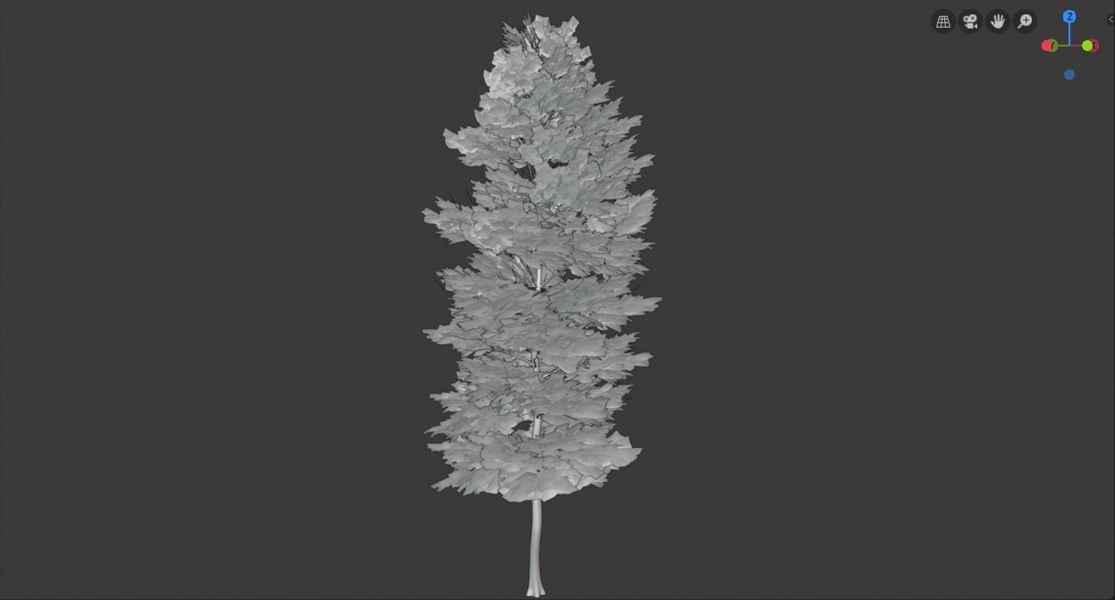 Tree Realistic  3D model_15