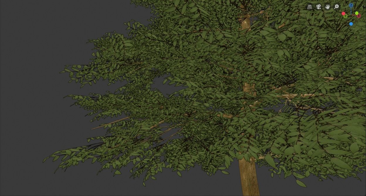 Tree Realistic  3D model_11