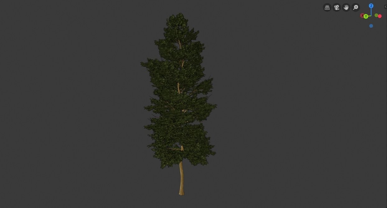 Tree Realistic  3D model_4