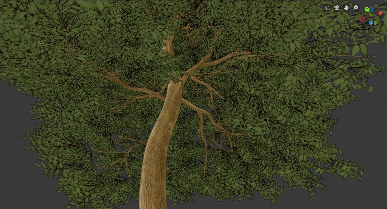 Tree Realistic  3D model_6