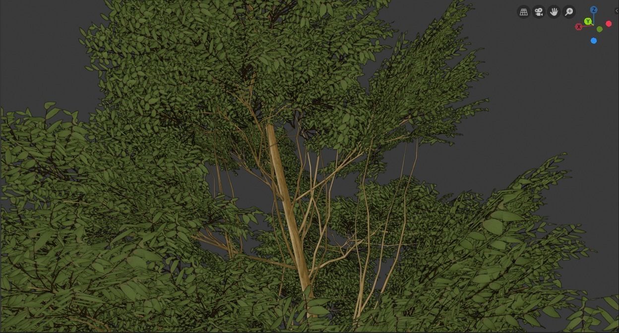Tree Realistic  3D model_13