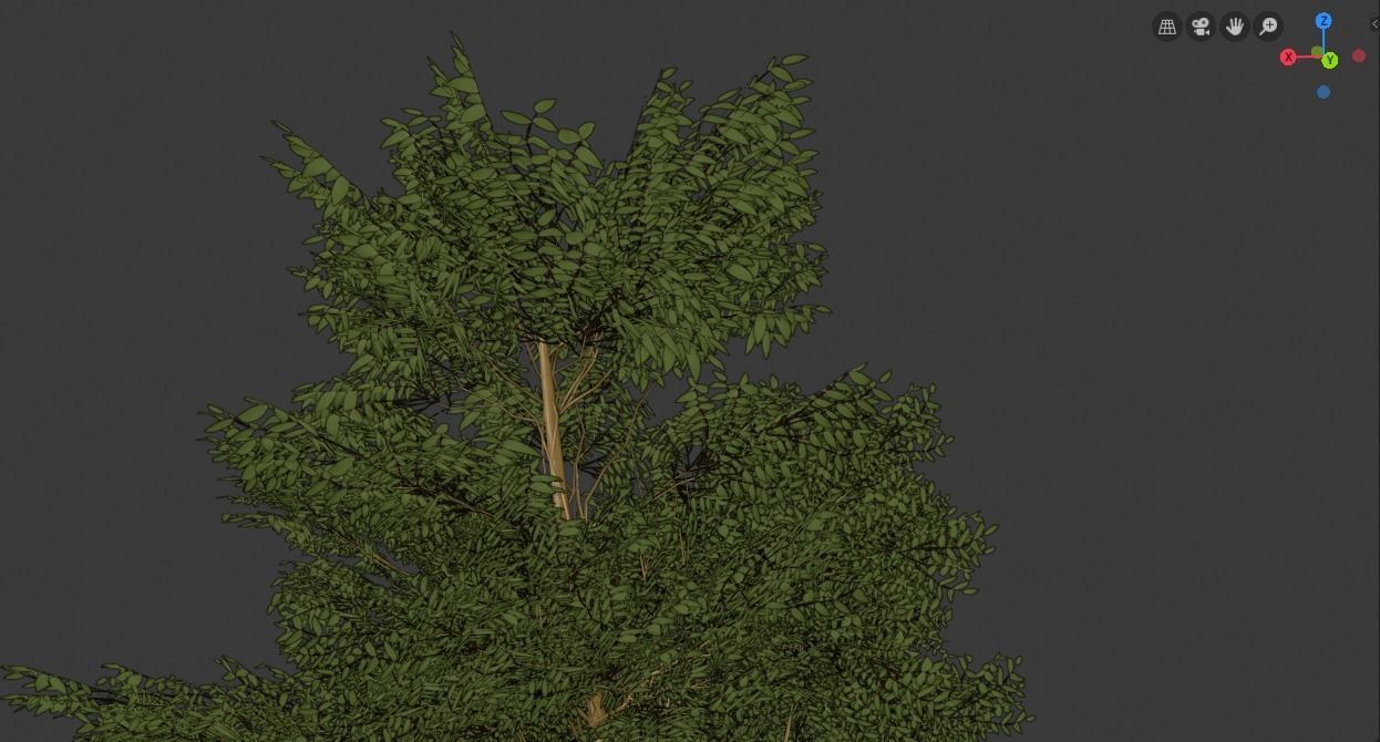 Tree Realistic  3D model_12