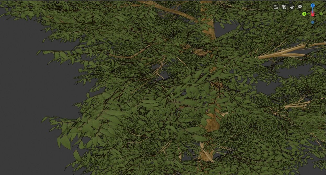 Tree Realistic  3D model_10