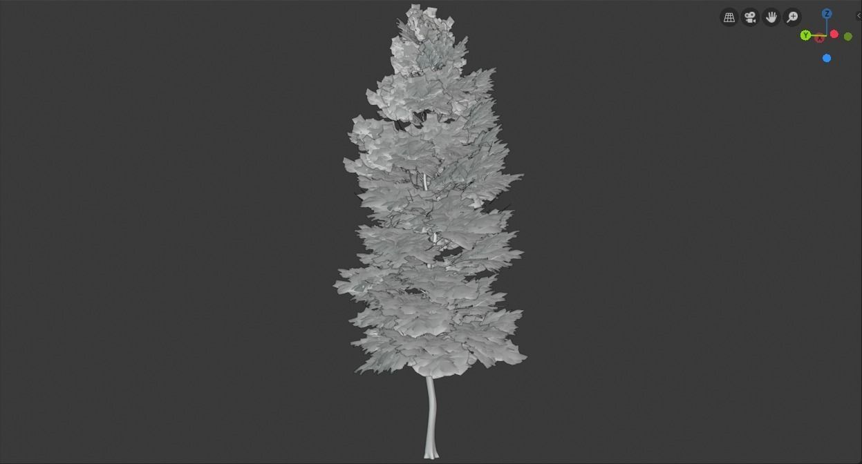 Tree Realistic  3D model_14