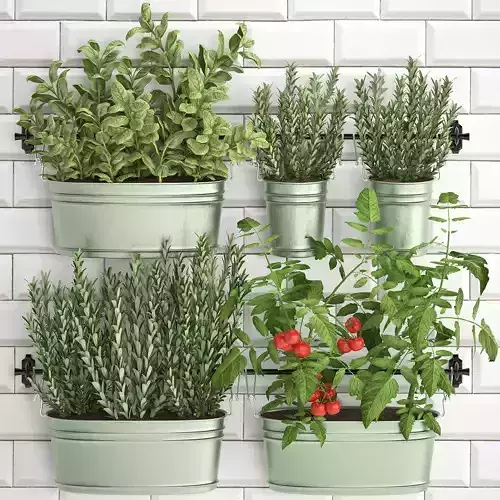 Decorative plants for the kitchen on railing 380 3
