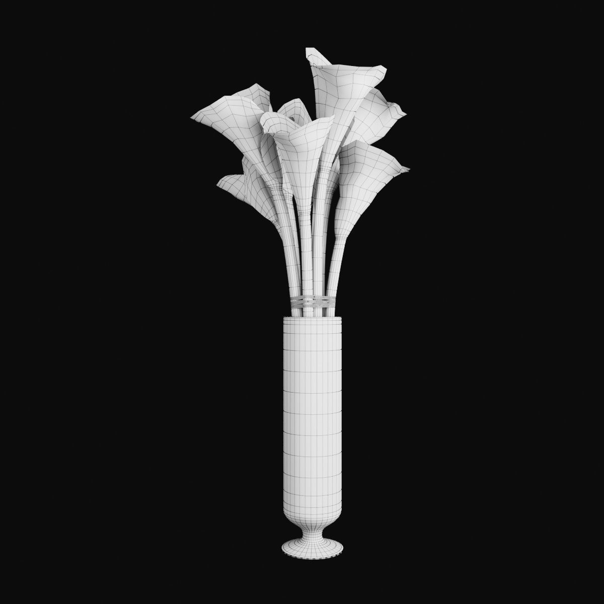 Plant collection 2 calla lily in glass vase _35