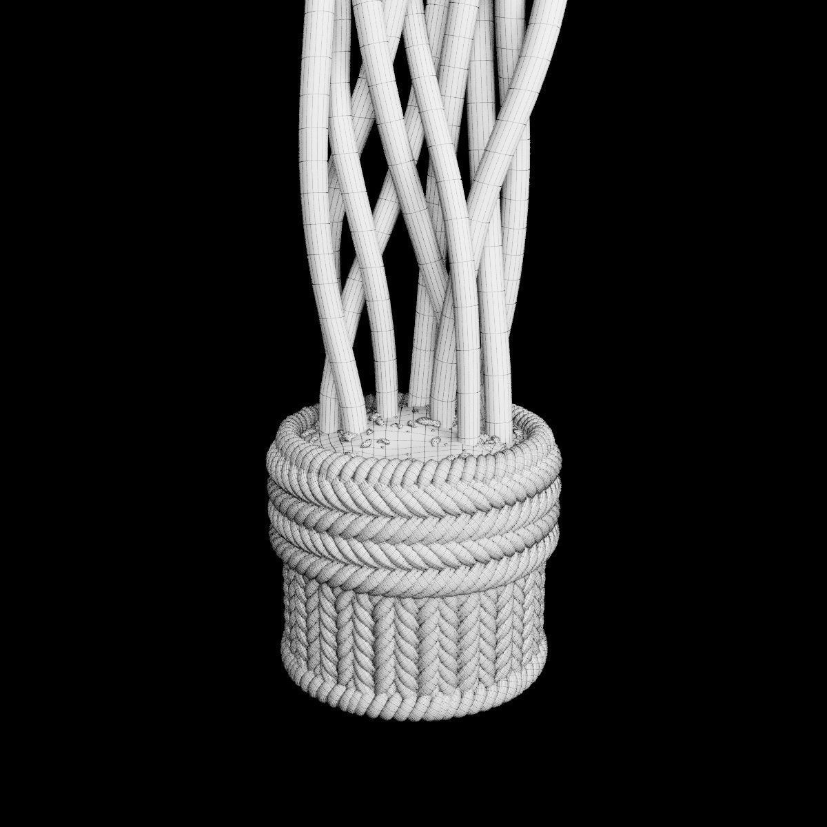 Plant collection 2 calla lily in glass vase _13