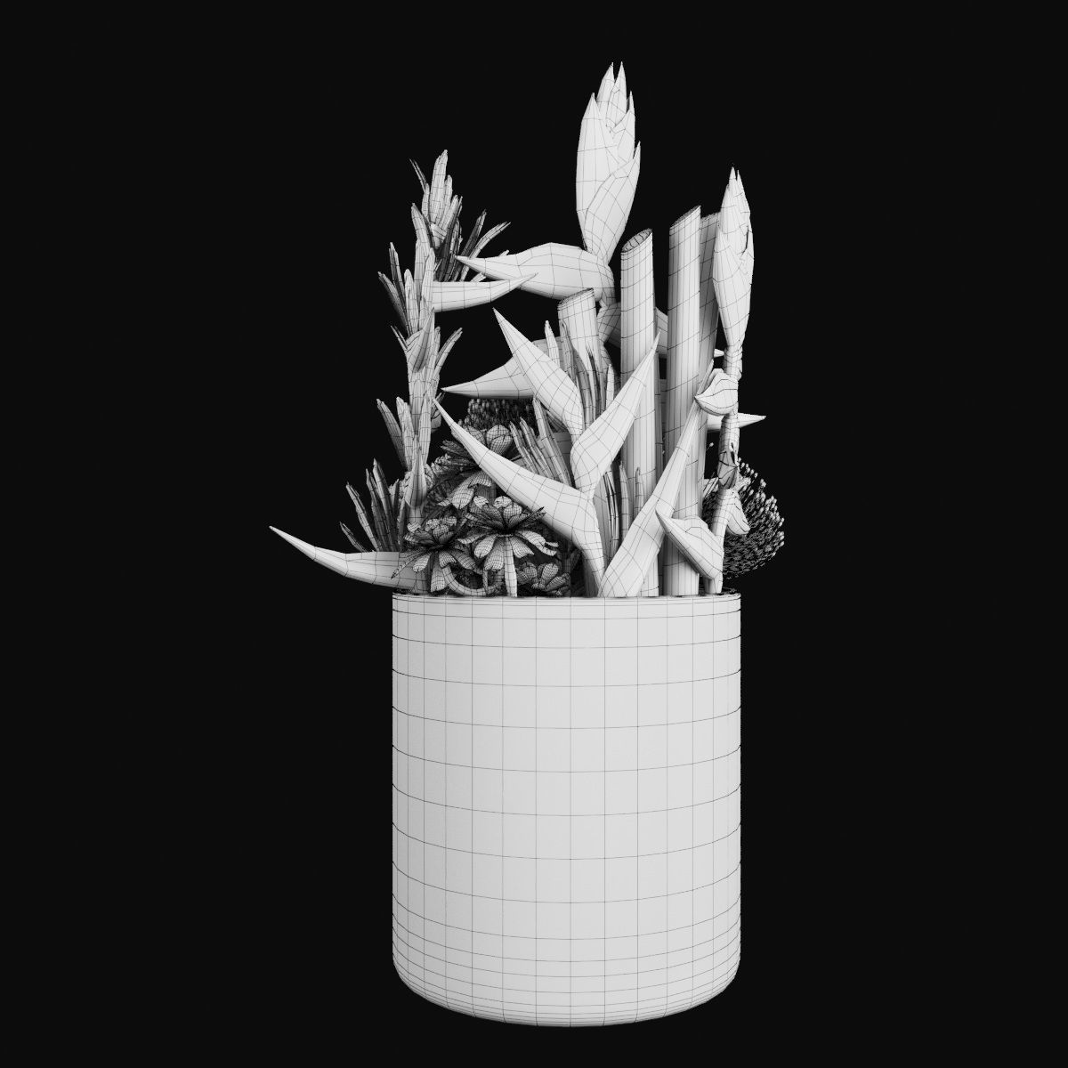 Plant collection 2 calla lily in glass vase _47