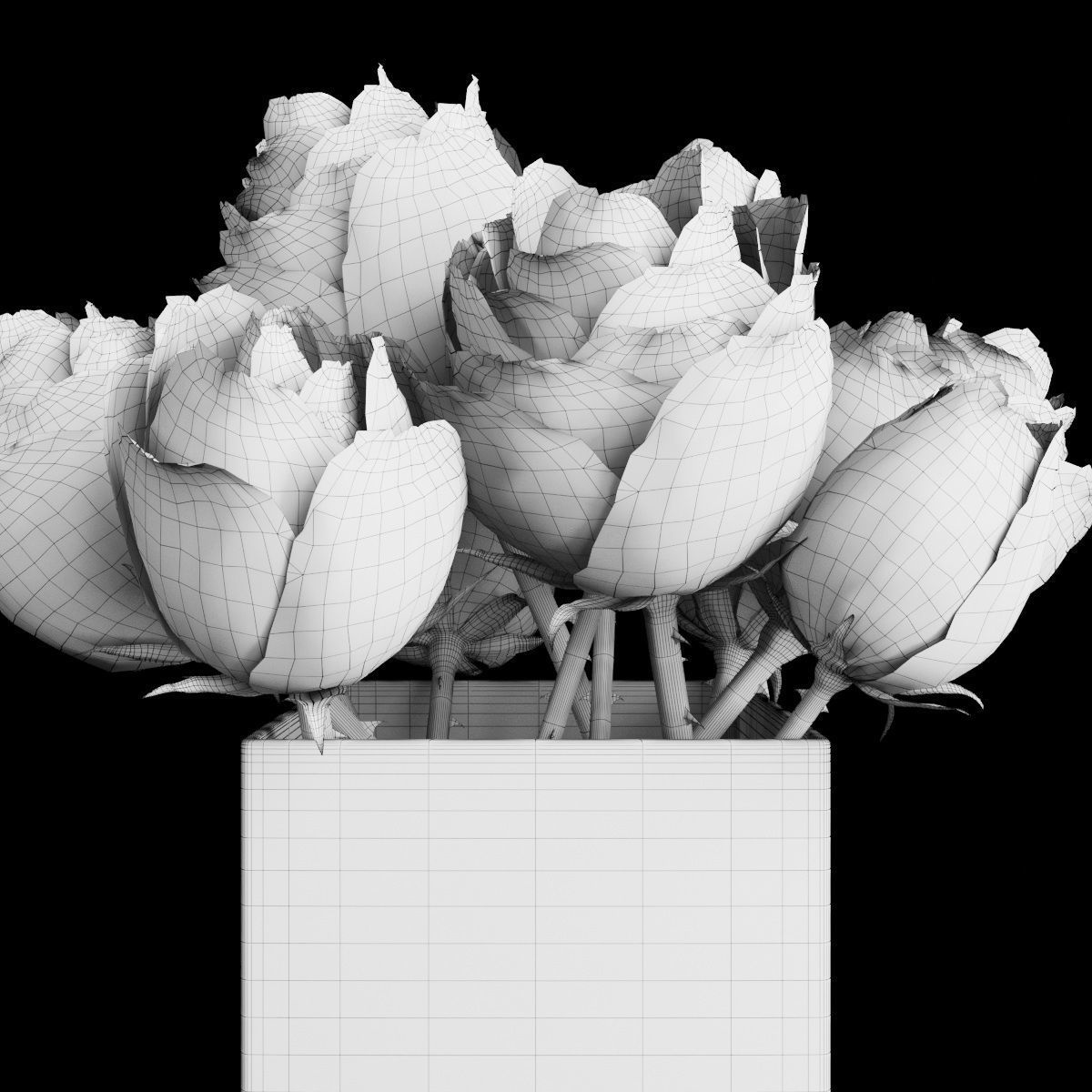 Plant collection 2 calla lily in glass vase _24