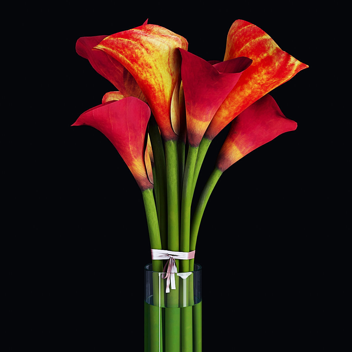 Plant collection 2 calla lily in glass vase _32