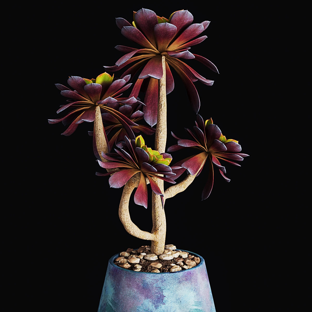 Plant collection 2 calla lily in glass vase _49