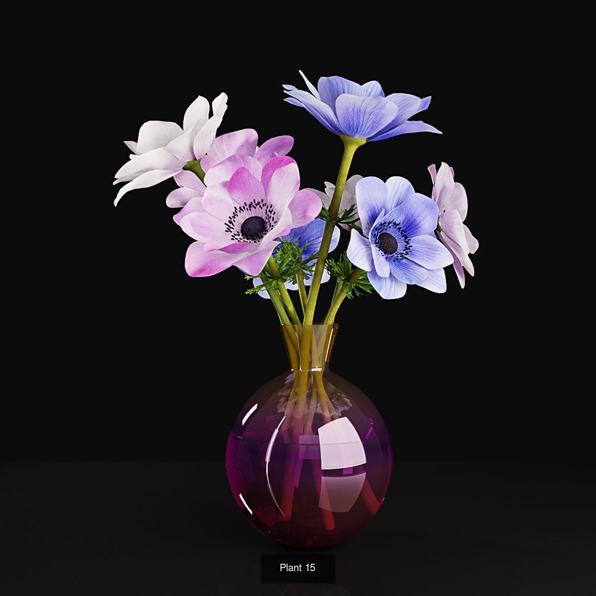 Plant collection 2 calla lily in glass vase _25