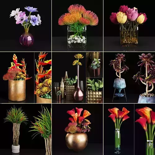 Plant collection 2 calla lily in glass vase 