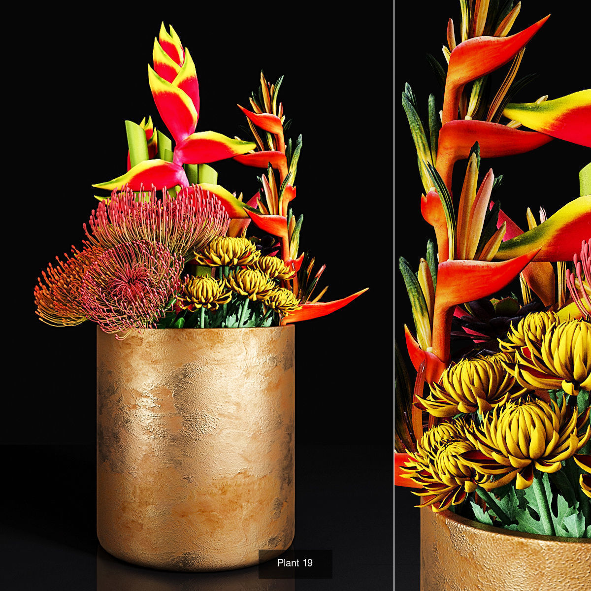 Plant collection 2 calla lily in glass vase _41