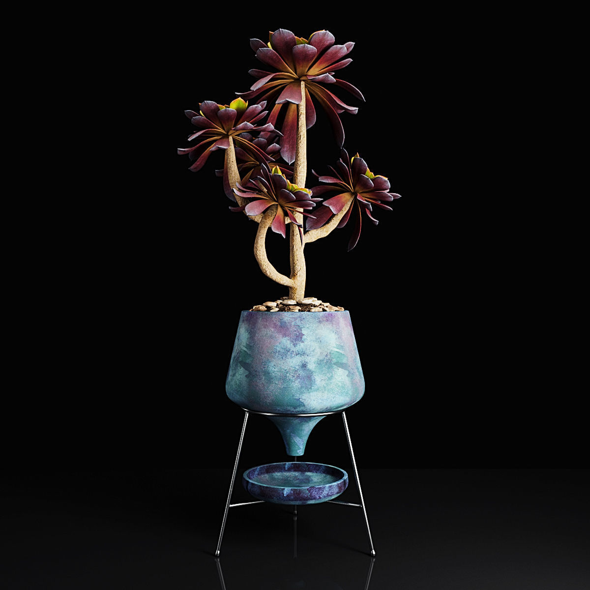 Plant collection 2 calla lily in glass vase _50