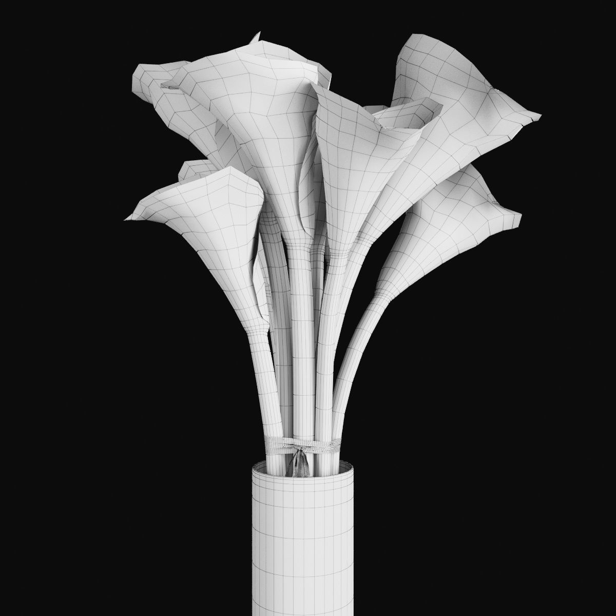 Plant collection 2 calla lily in glass vase _34