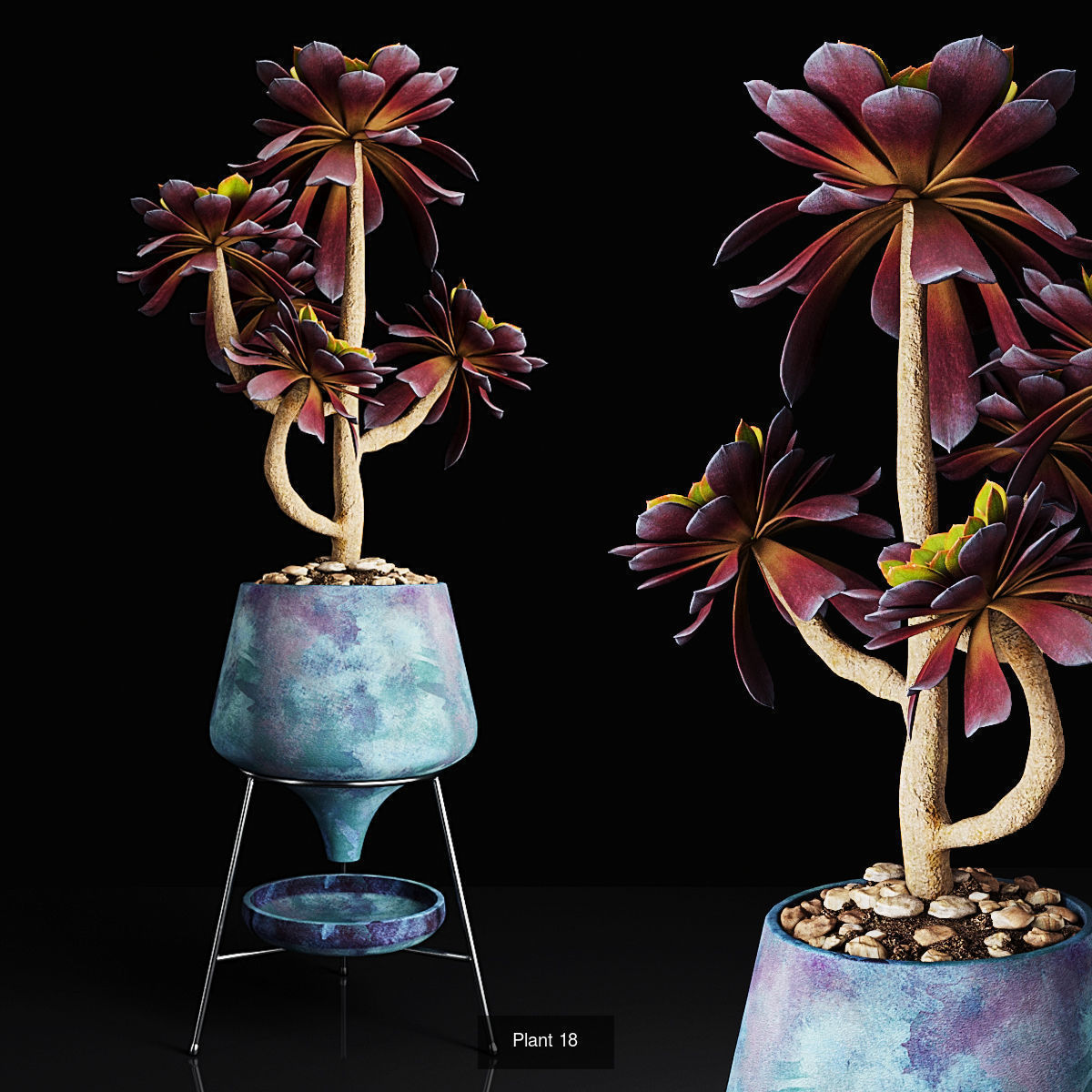 Plant collection 2 calla lily in glass vase _48