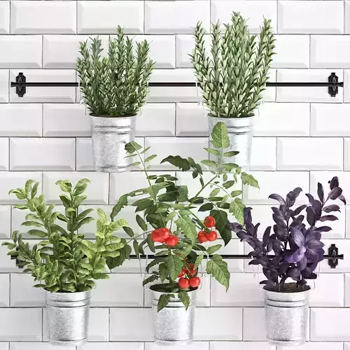 Decorative plants for the kitchen on railing 380 4