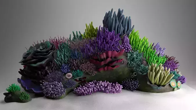 3D Underwater Coral Reef Habitat Ocean  3D model