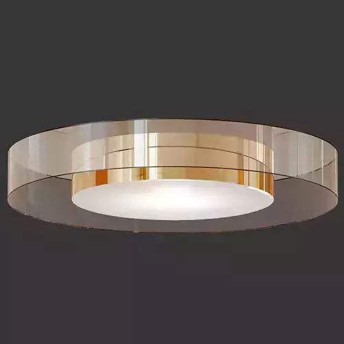Constellation Outdoor LED Ceiling Light