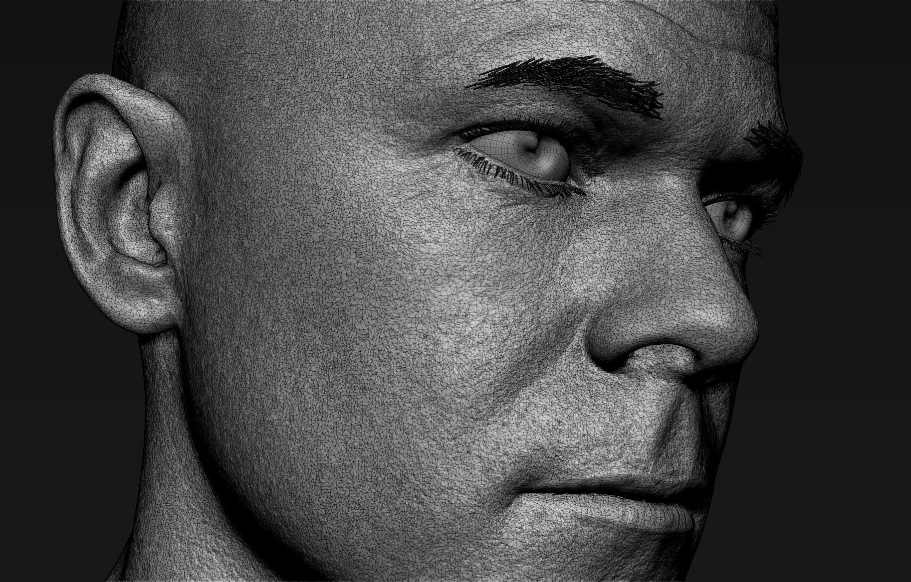 Realistic Male Head Sculpt 01 3D model_9