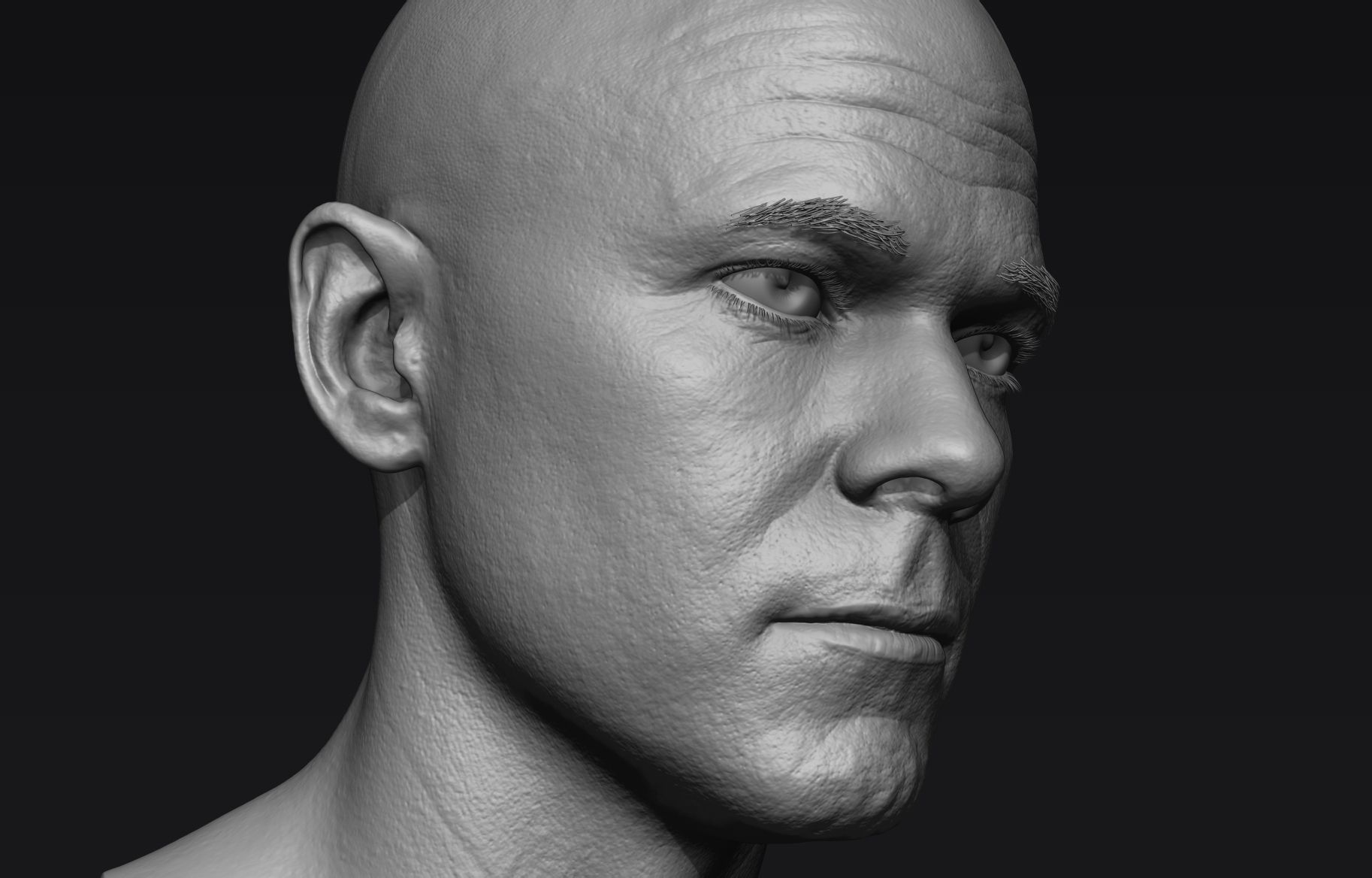 Realistic Male Head Sculpt 01 3D model_8