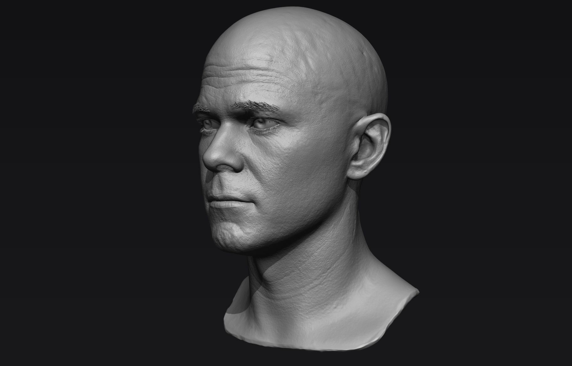 Realistic Male Head Sculpt 01 3D model_2