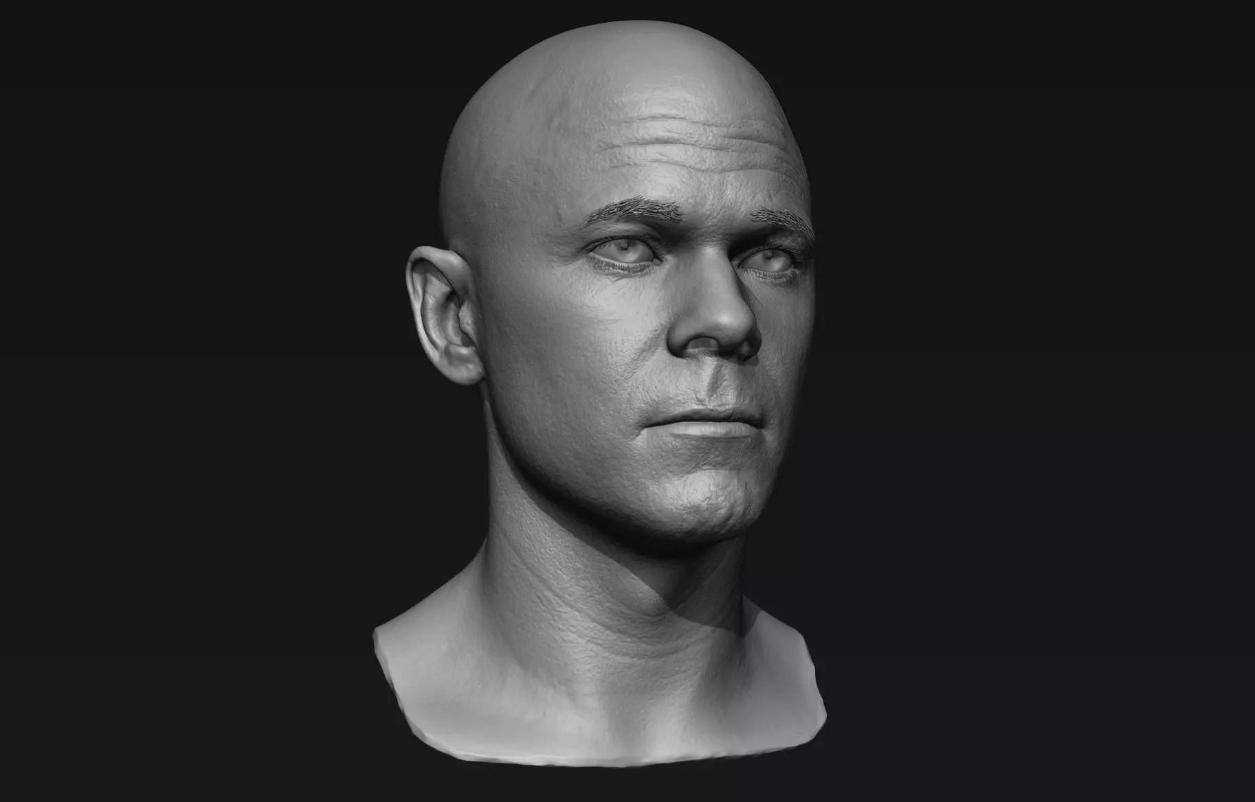 Realistic Male Head Sculpt 01 3D model_0