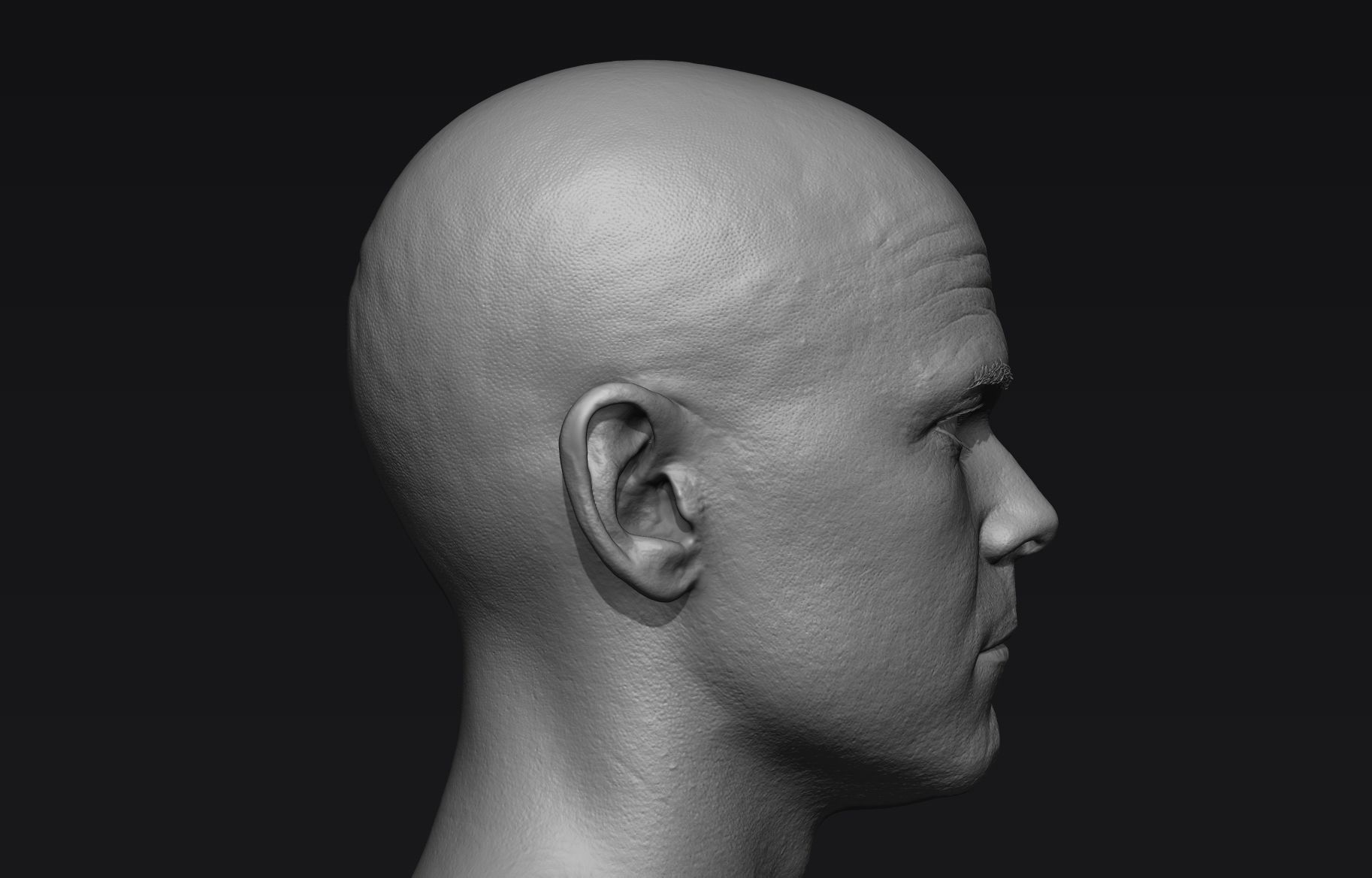 Realistic Male Head Sculpt 01 3D model_4