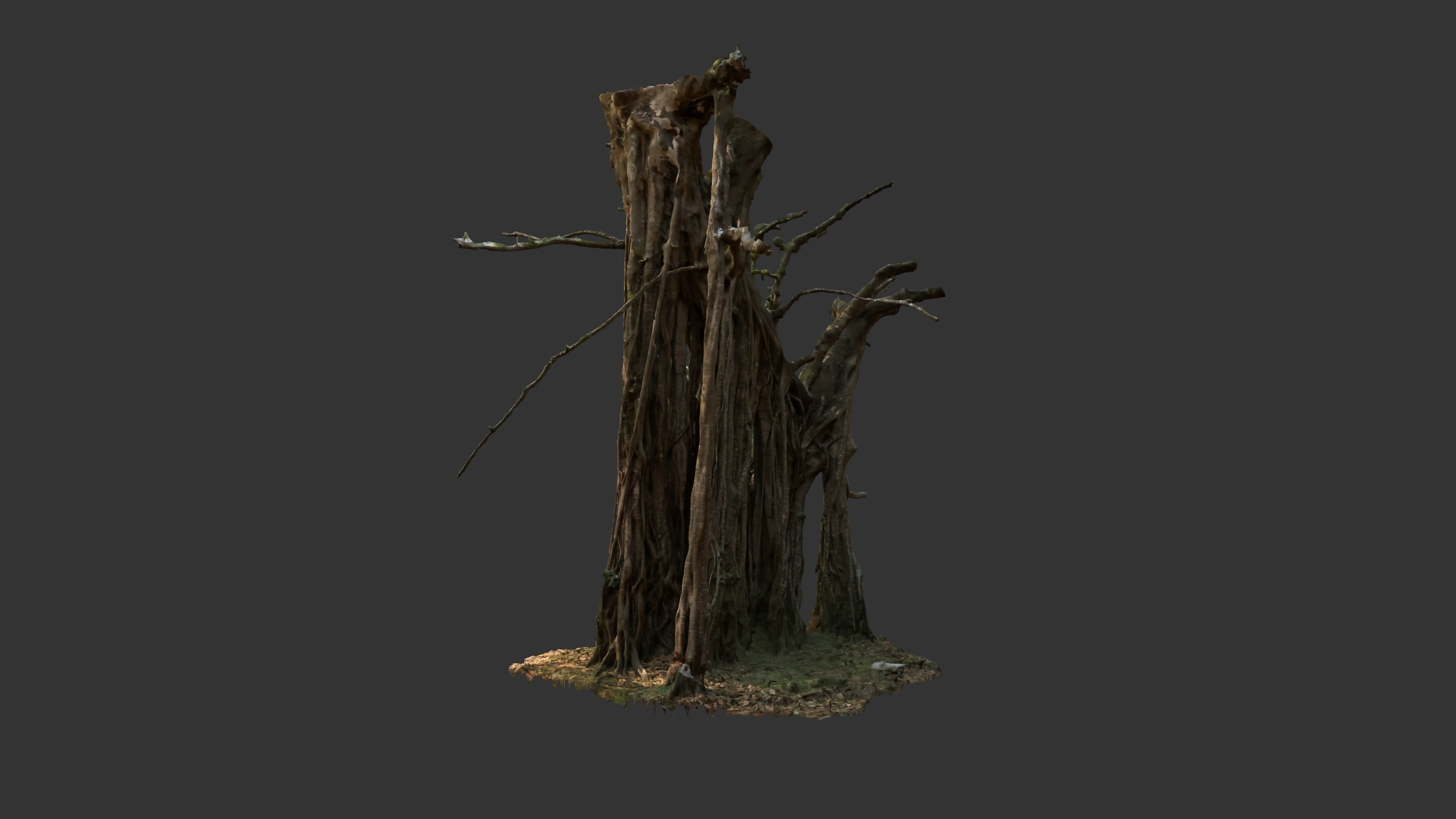 Banyan Tree Trunk Low-poly 3D model_6