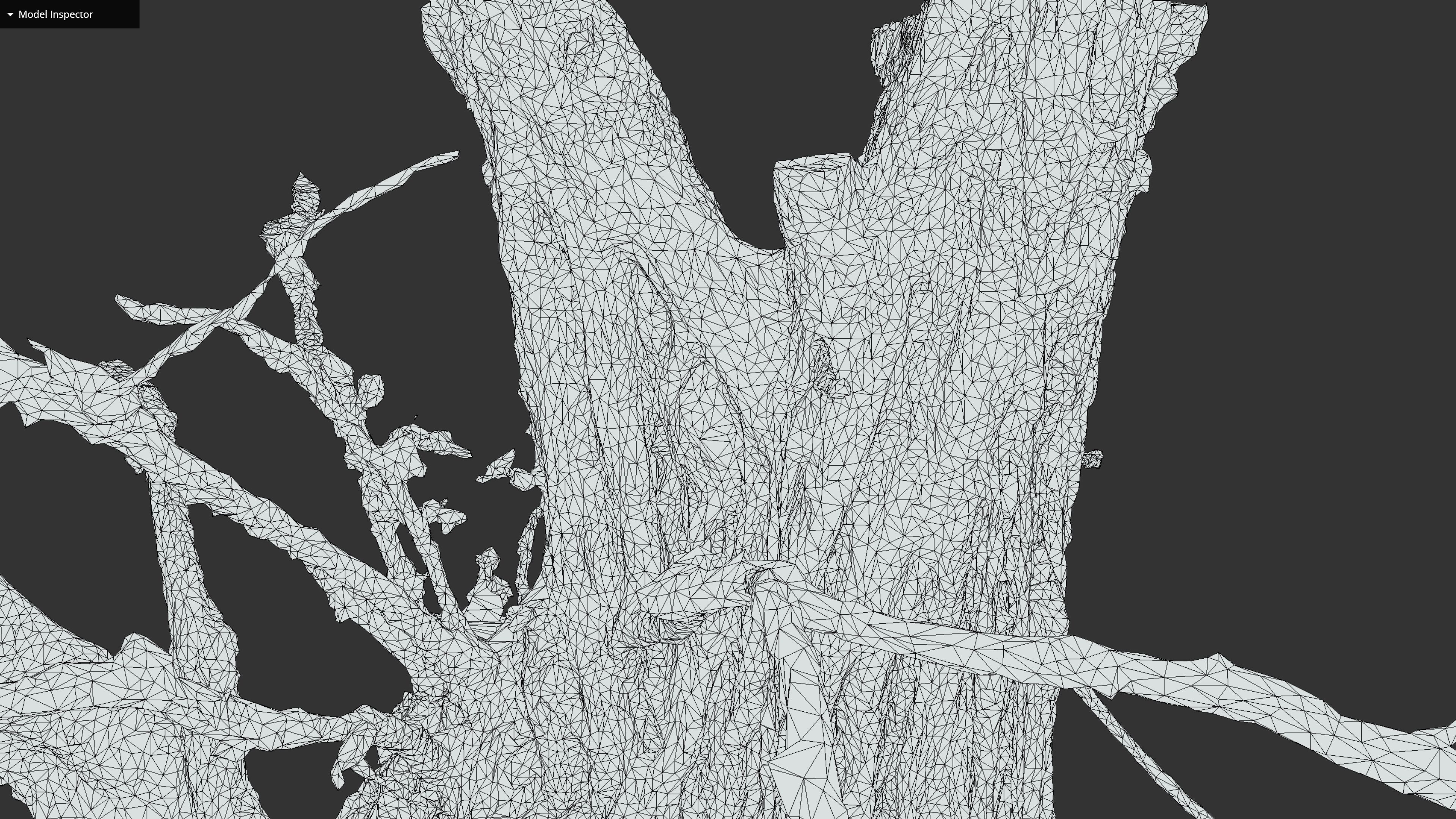 Banyan Tree Trunk Low-poly 3D model_39