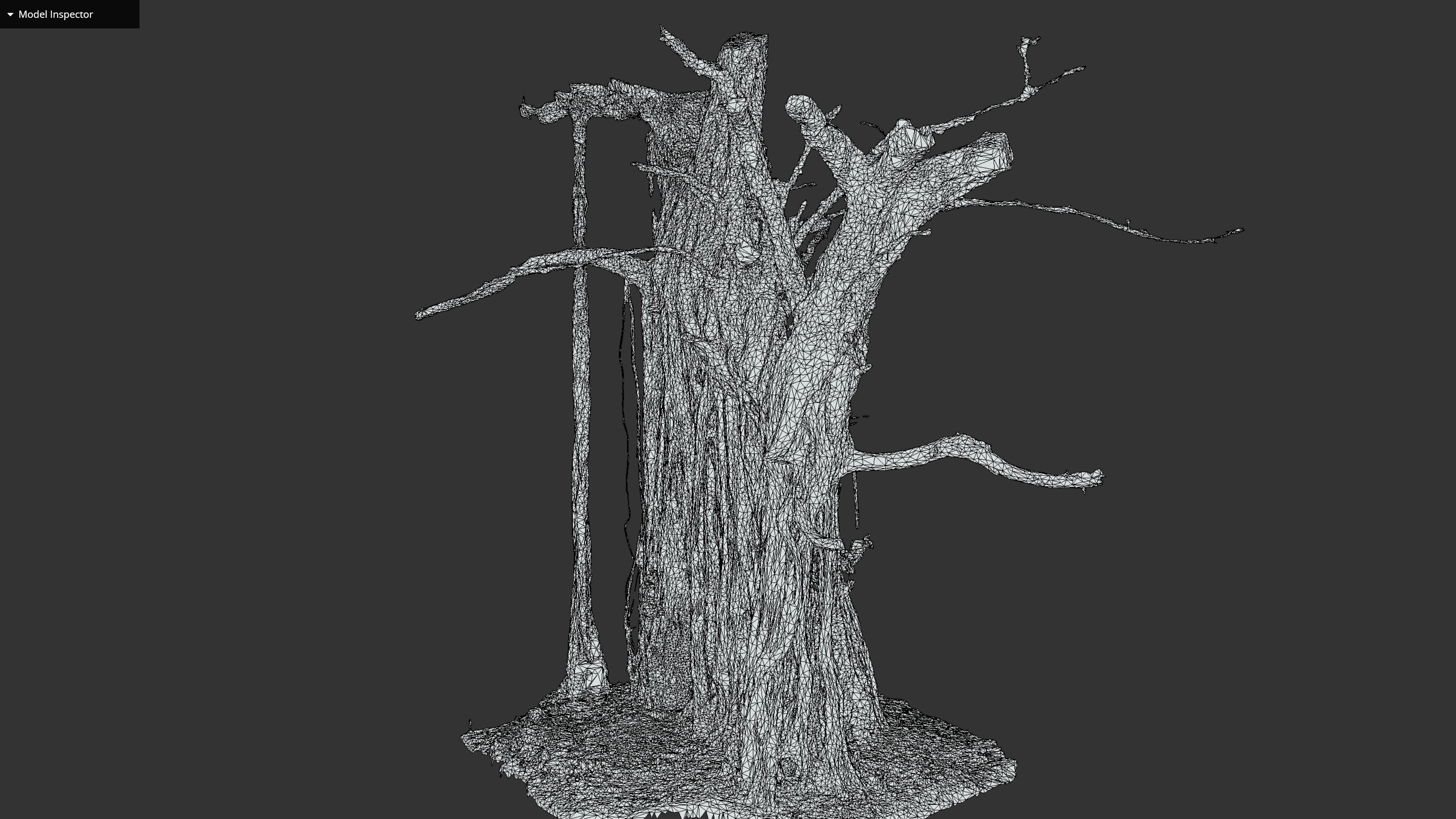 Banyan Tree Trunk Low-poly 3D model_34