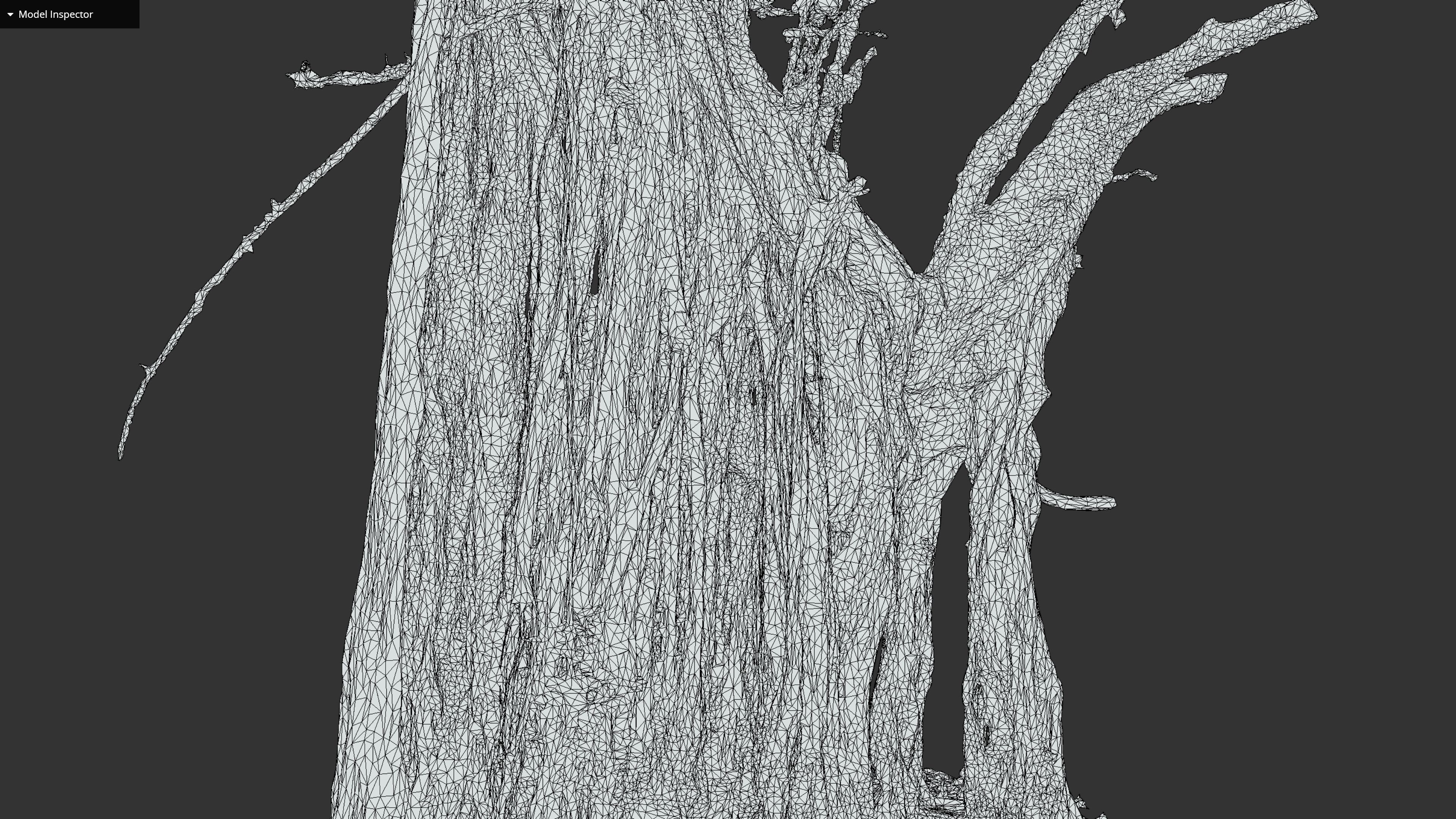 Banyan Tree Trunk Low-poly 3D model_41