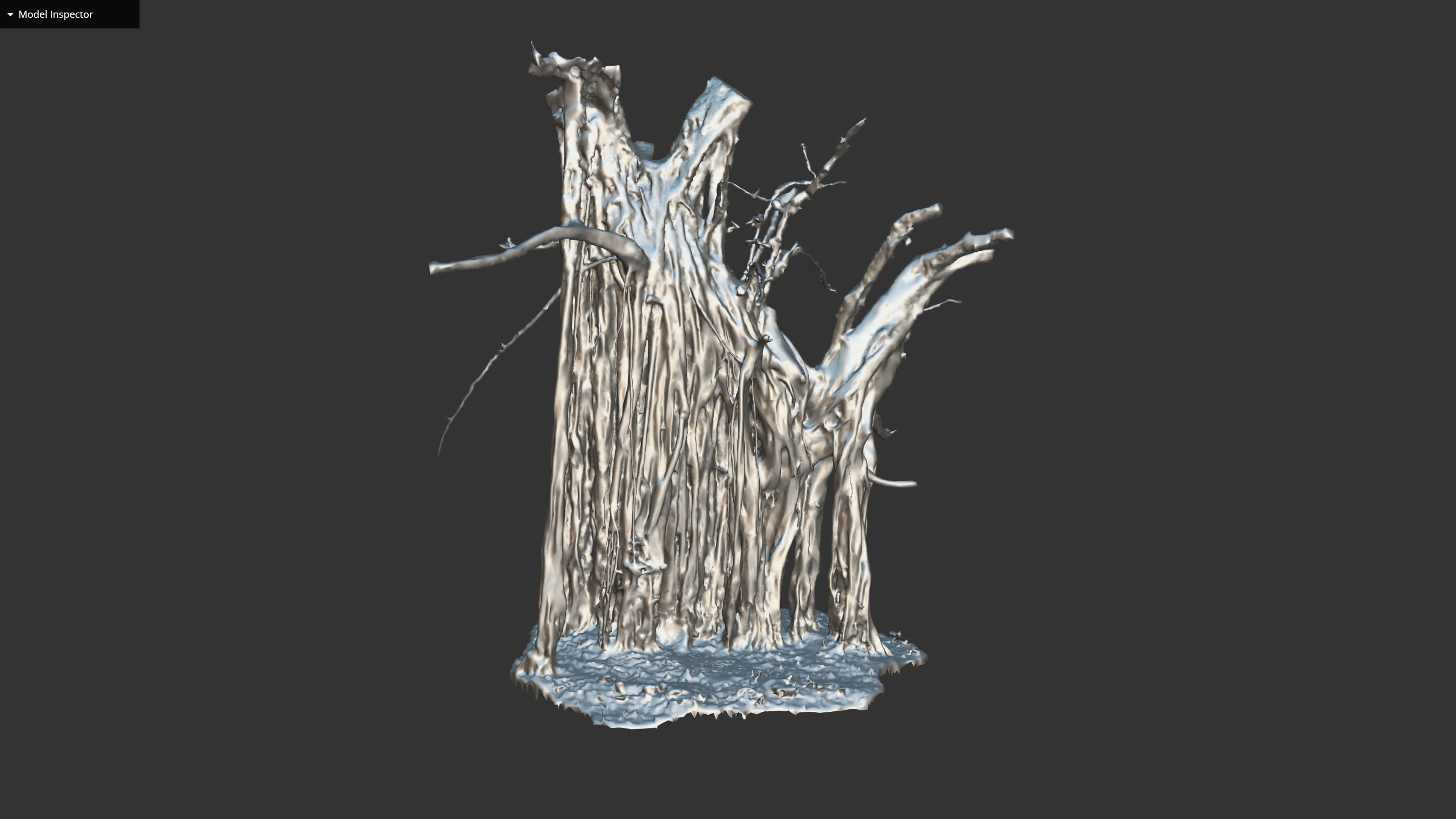 Banyan Tree Trunk Low-poly 3D model_31