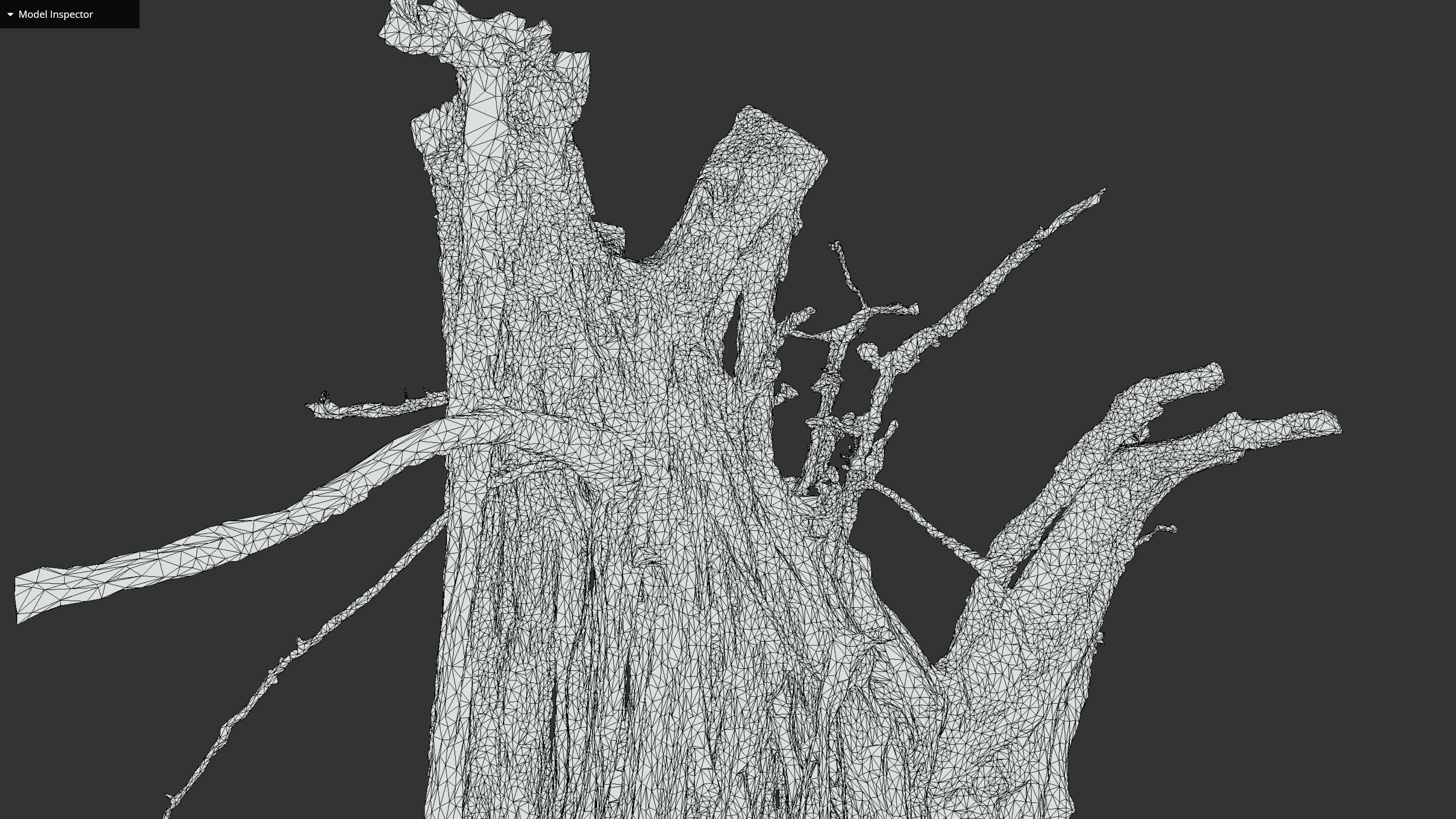 Banyan Tree Trunk Low-poly 3D model_40