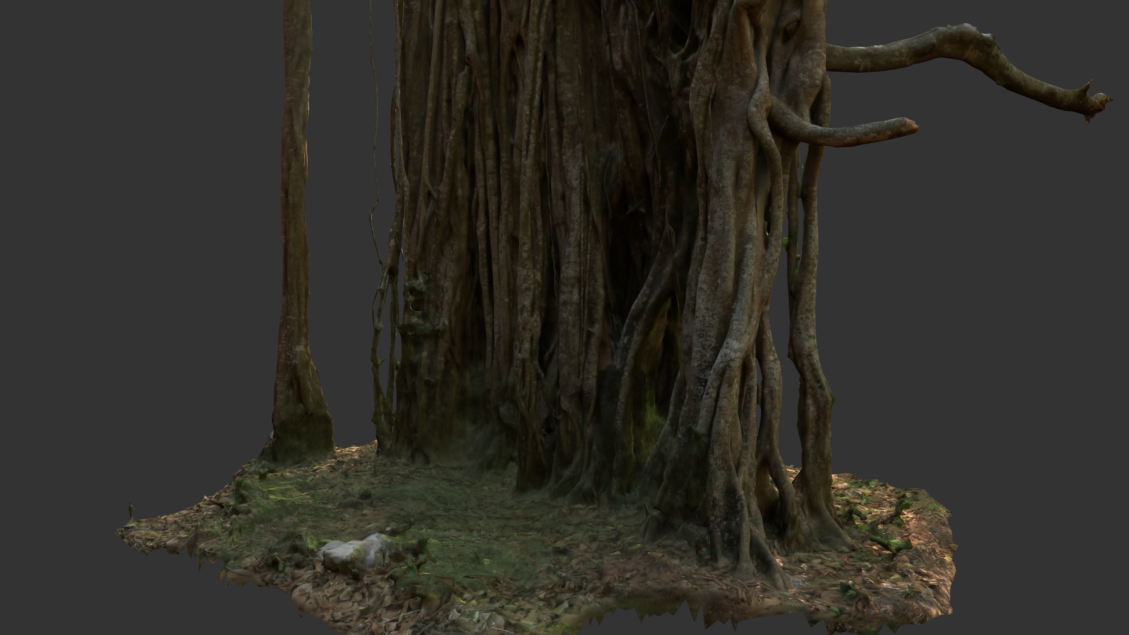 Banyan Tree Trunk Low-poly 3D model_11