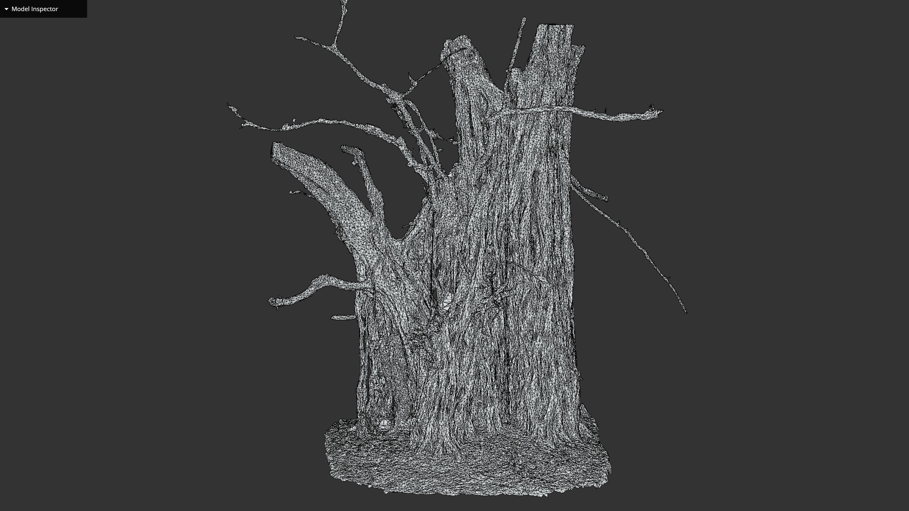 Banyan Tree Trunk Low-poly 3D model_36