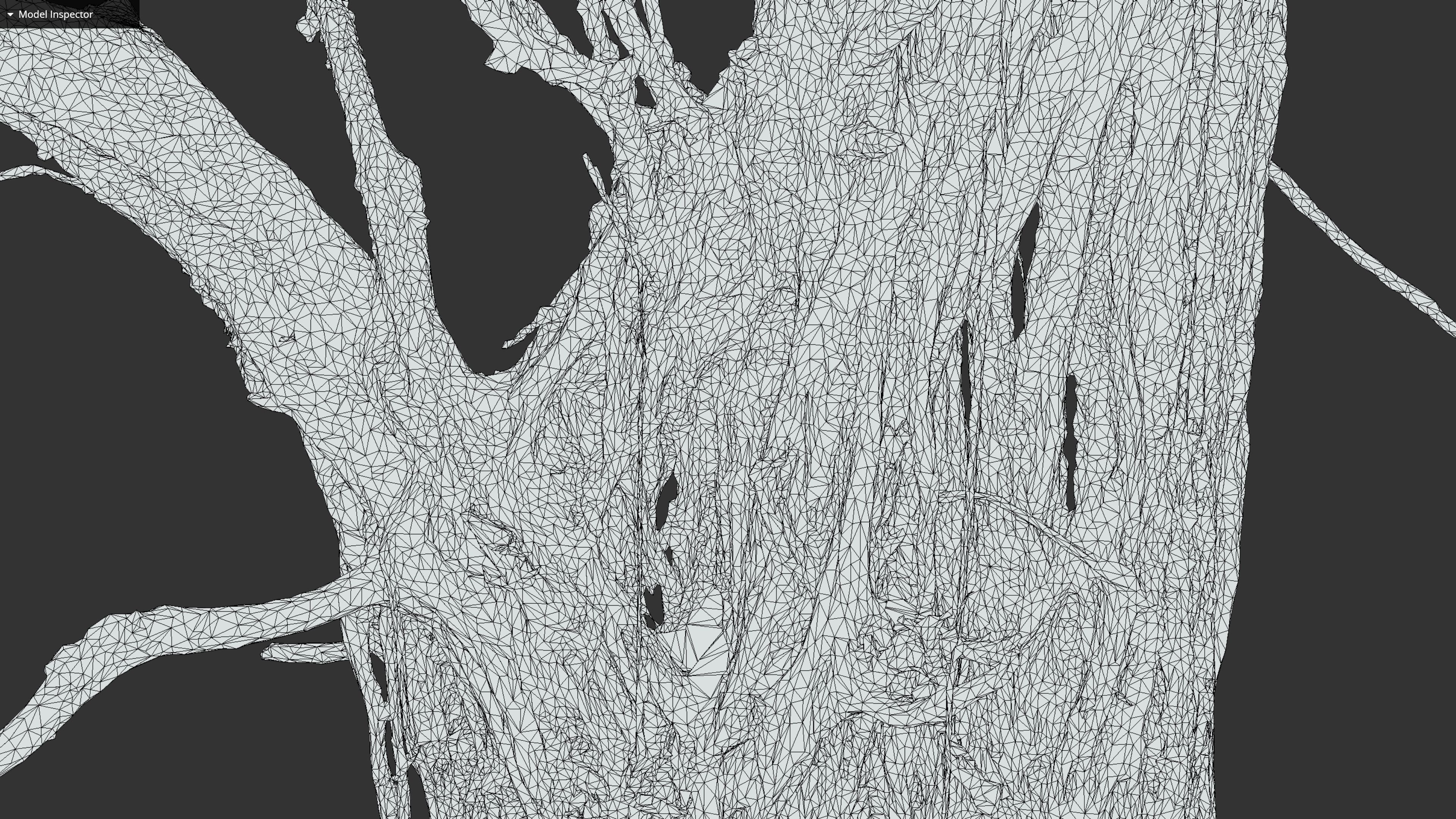 Banyan Tree Trunk Low-poly 3D model_38