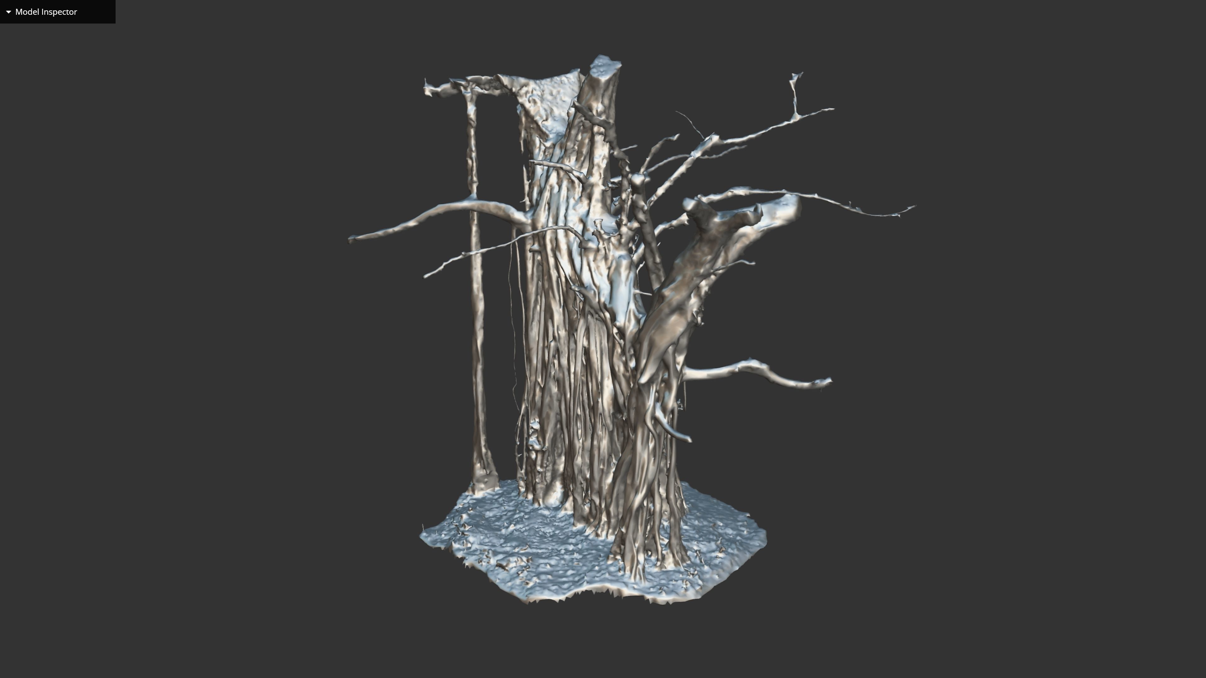 Banyan Tree Trunk Low-poly 3D model_32