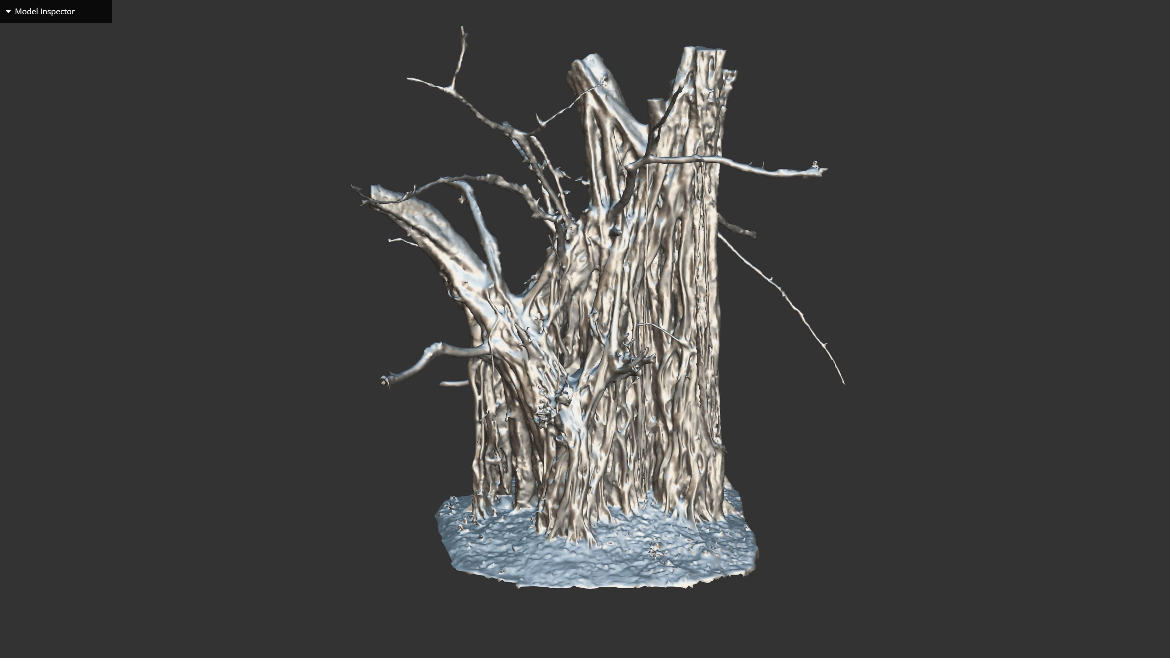Banyan Tree Trunk Low-poly 3D model_29